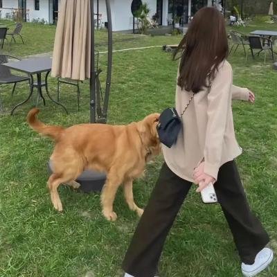苦菜花